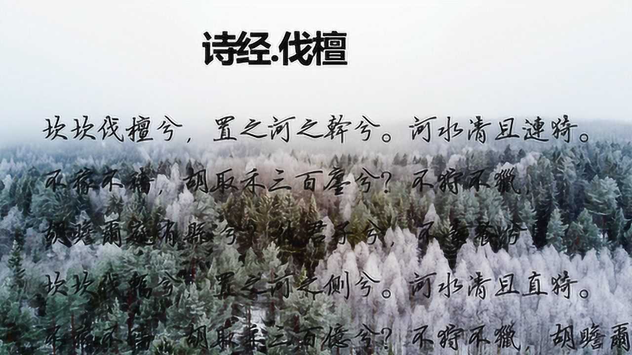 诗经《伐檀》诵读教学版