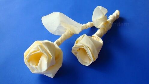 教你用餐巾纸折一束玫瑰，简单好学