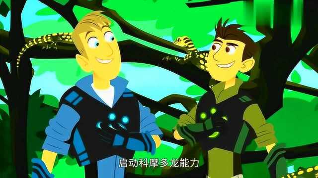 动物兄弟:为什么成年科摩多龙不爬树?原来是太重了!