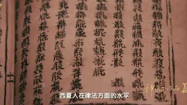 失落的国度:从字典的对照翻译,西夏在律法方面的重视超出想象