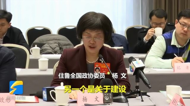 全国政协委员杨文:民办高校也应建设“双一流”