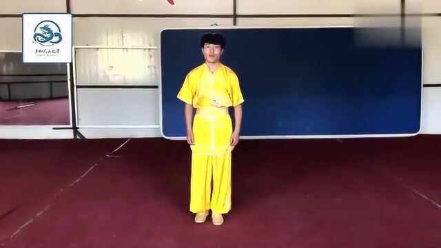 马和武术教学:本期教大家的是套路小洪拳