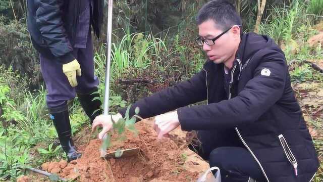 农村深山种植“百草园”,各种各样的草药,还引来电视台的关注