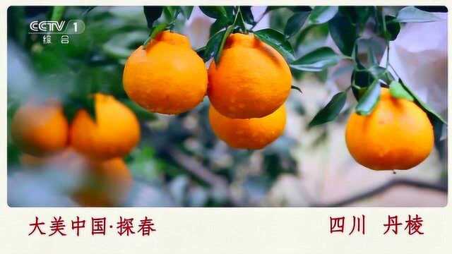 大美中国四川丹棱