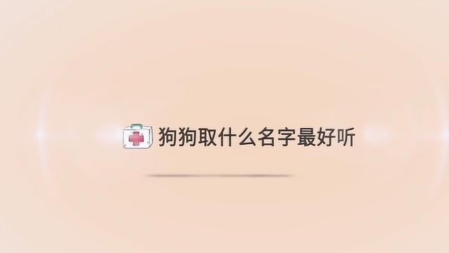 宠物大学问 狗狗取什么名字最个性好听?