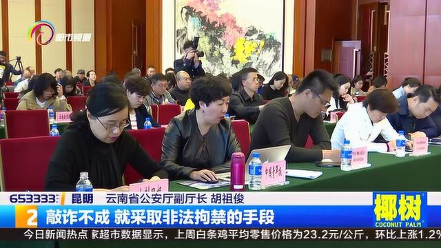 云南省对扫黑除恶案件中取得的阶段性成效举行了新闻发布会