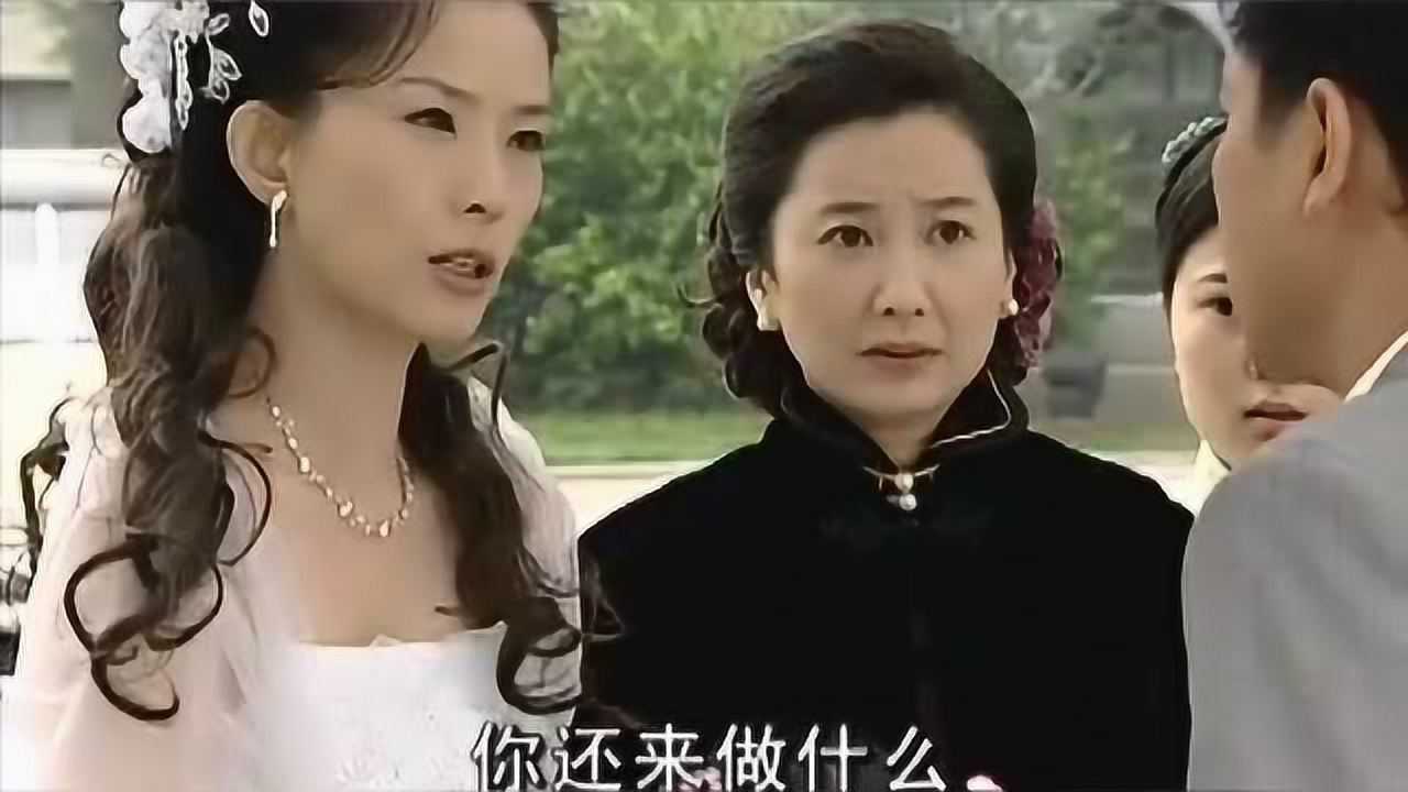 木棉花的春天耀华订婚失约被佩芸狠狠打了一巴掌