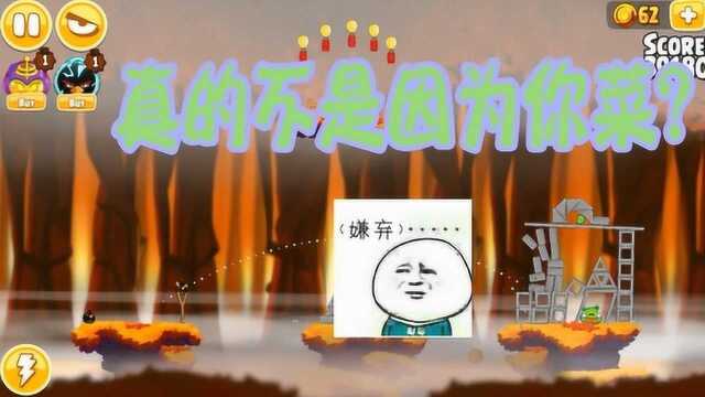 愤怒的小鸟季节版:一发炸弹小鸟动也不动,这也太坚固了吧