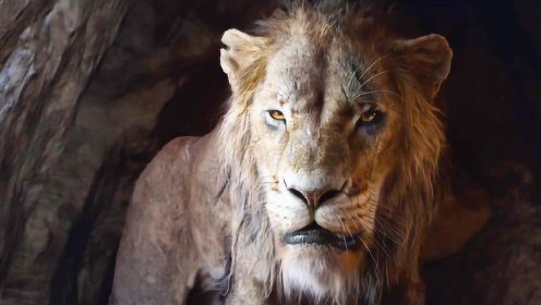 《狮子王》 全新预告，25年后刀疤再次出现，左眼疤痕极尽真实