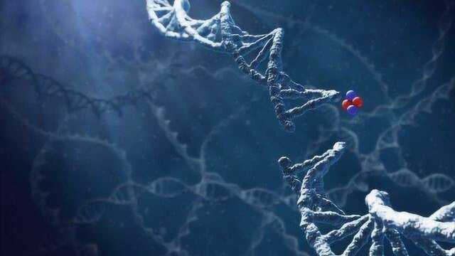 如果人全身的DNA都断裂了会发生什么?看完涨知识了