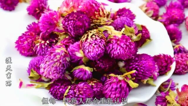 孕妇这几种茶可以喝,千日红搭配上它,可健脾益胃、安胎之功效!