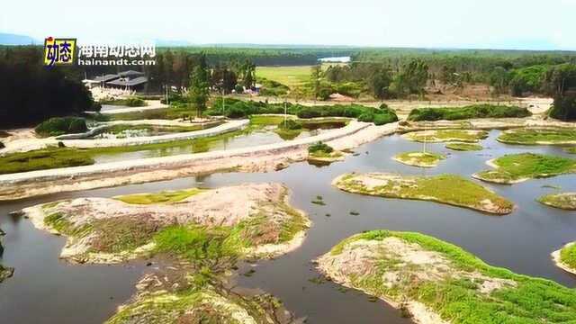 大海边上的“地中海”—昌江海尾湿地公园