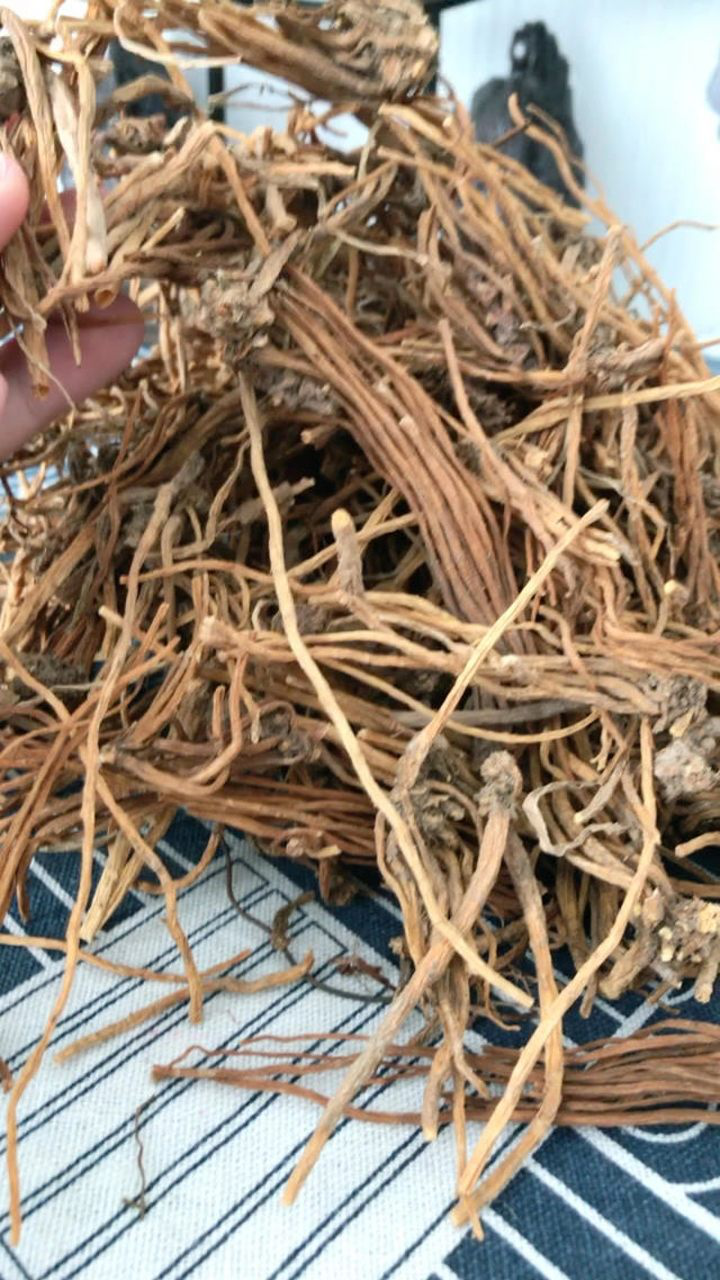 龙胆草 无毒 性寒 味苦 归肝 胆经 功能主治 清热燥湿 泻肝胆火