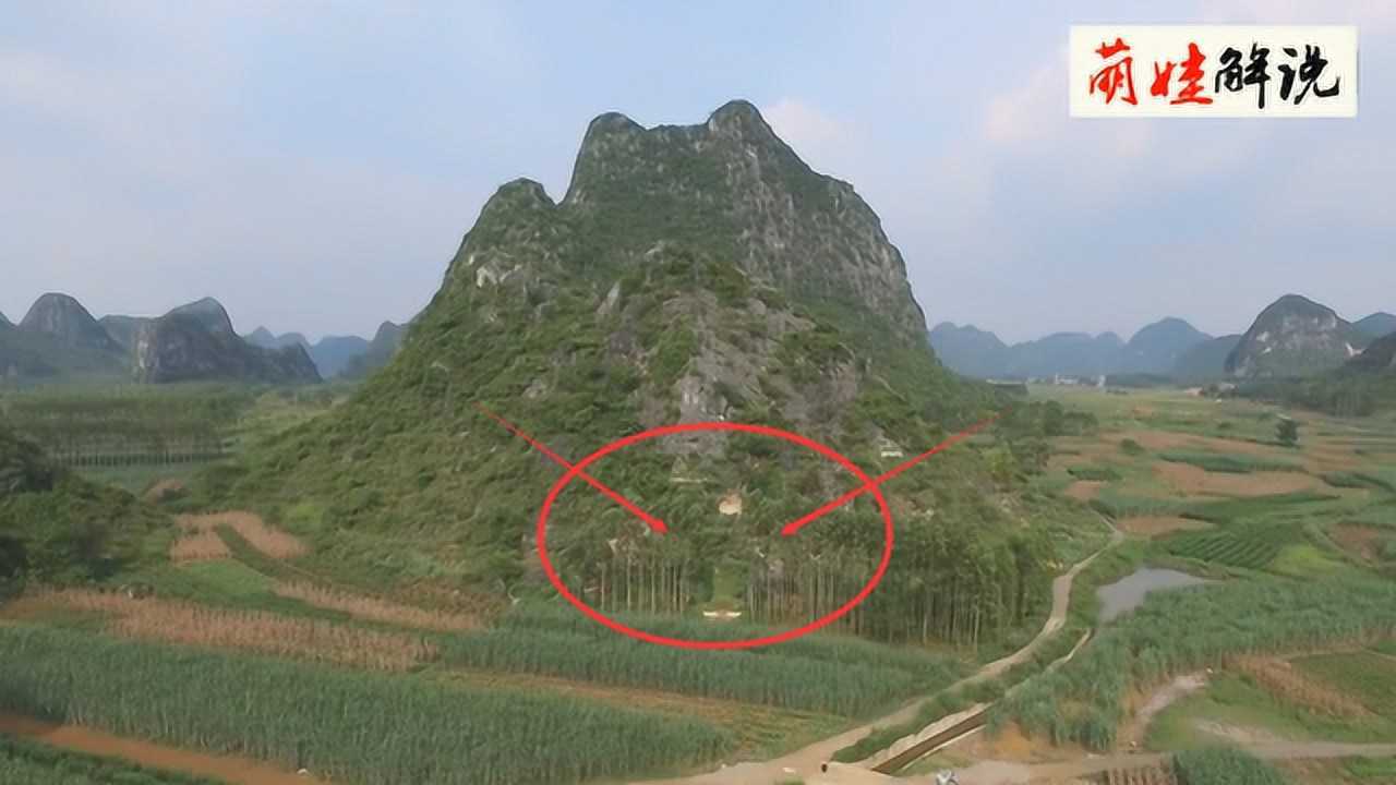 风水宝地点评:凤凰山上的宝地"凤凰饮水"网友:后人吉祥,昌盛!