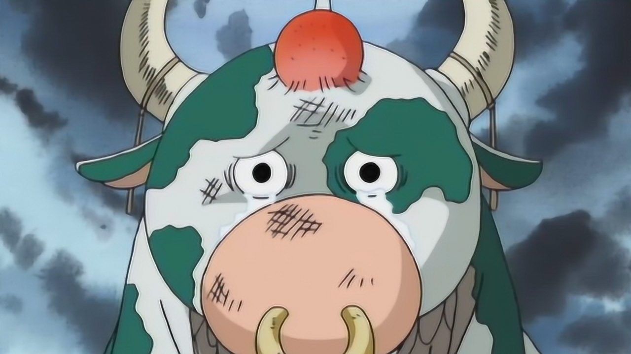 最惨的海兽"哞哞",因与草帽团抢食,遭路飞暴打