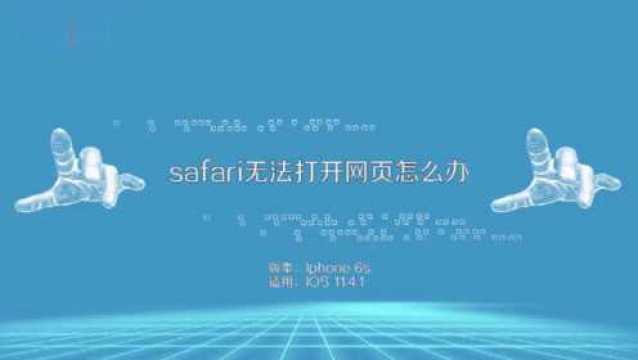 safari无法打开网页怎么办