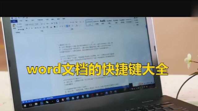 word文档的快捷键大全