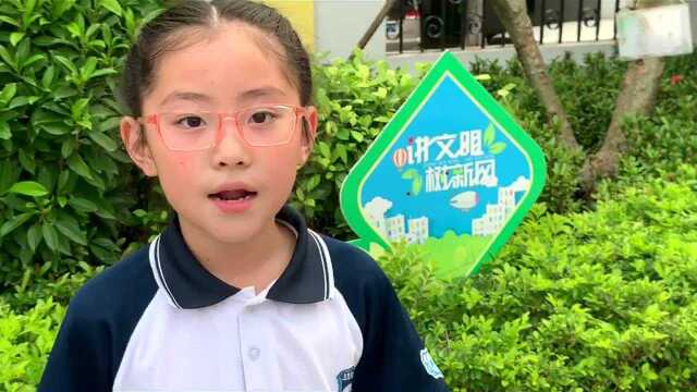 天鹅湾小学《校园欺凌》主题微课