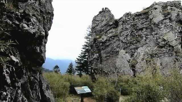 探秘神农架板壁岩野人谷,提示最多的是附近有毒蛇注意安全