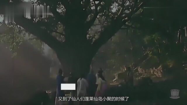 经典老电影之八仙的传说,带你回味经典,感受经典的魅力