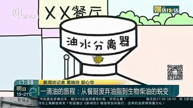 一滴油的旅程:从餐厨废弃油脂到生物柴油的蜕变