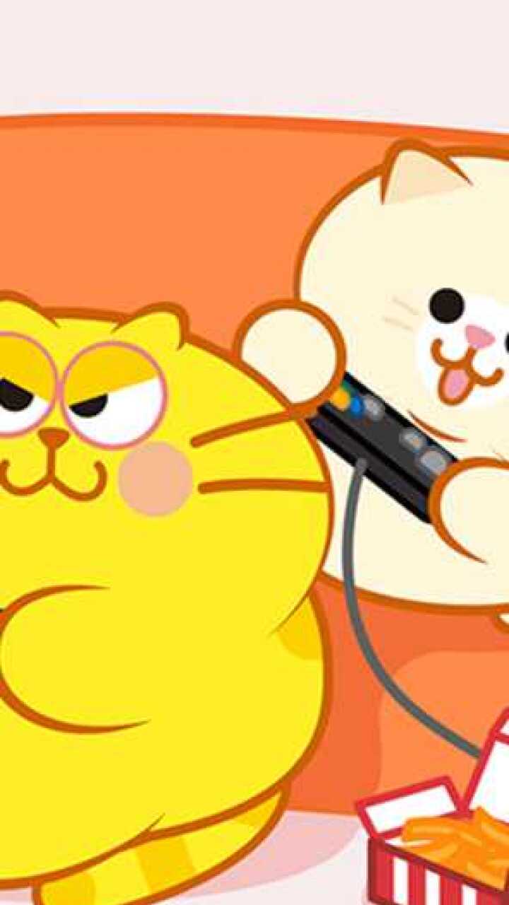 蛋黄猫和噗噗猫的沙发故事