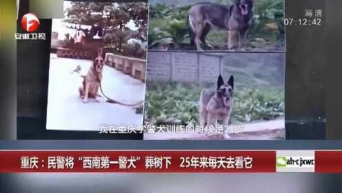 民警将“西南第一警犬”葬树下 25年来每天去看它