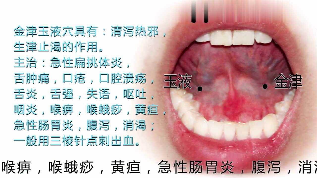 金津玉液穴的位置