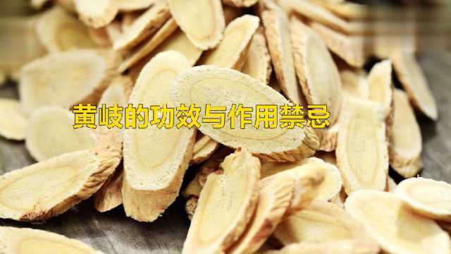 黄岐的功效与作用禁忌