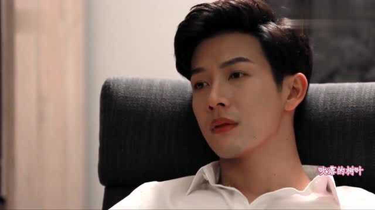 吹落的树叶推哥借酒消愁躲妻子 无奈下属被骂只能回家