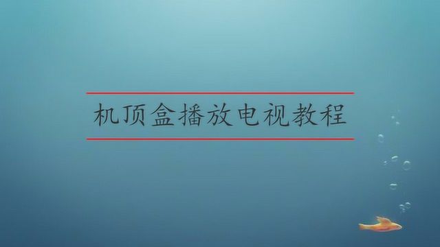 机顶盒播放电视教程