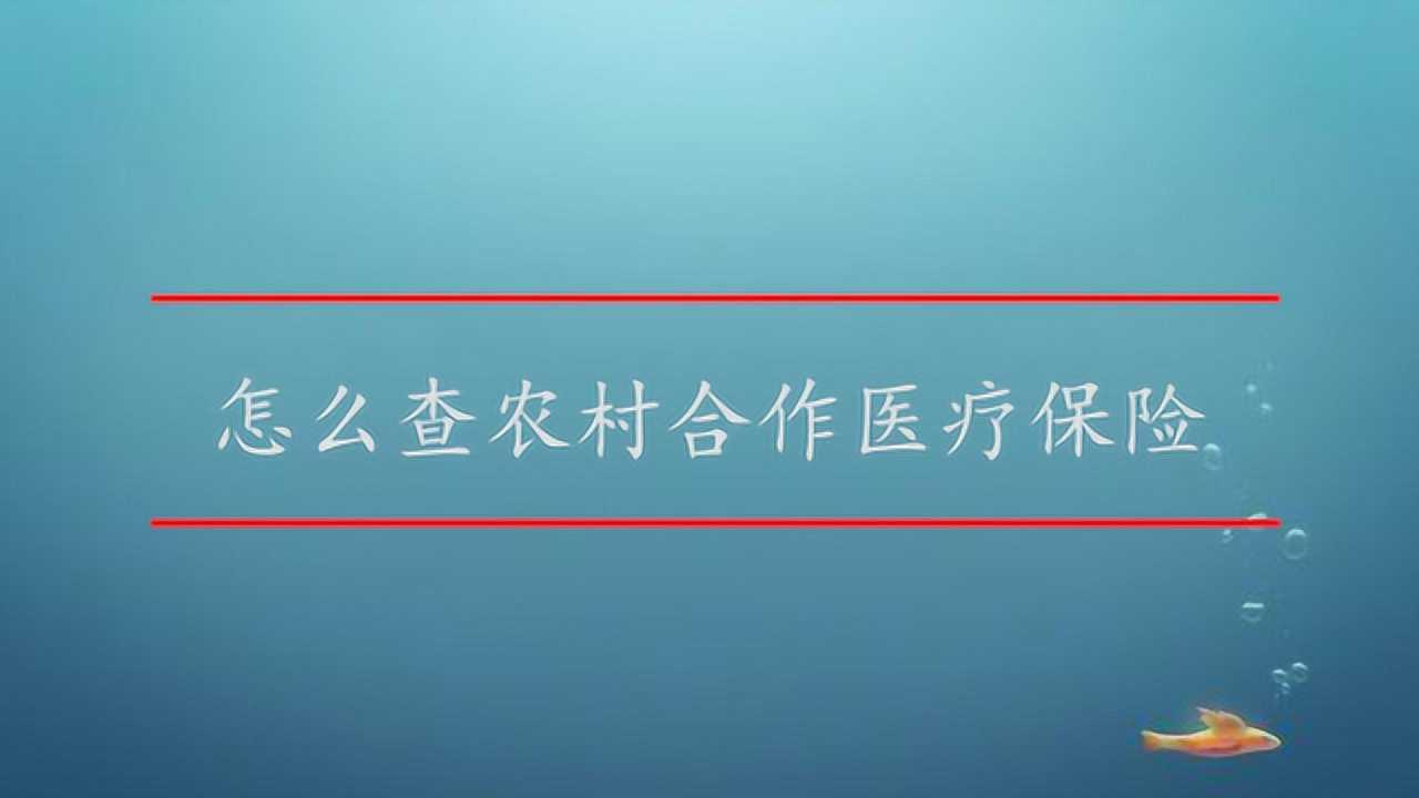 手机怎么查农村合作医疗保险腾讯视频