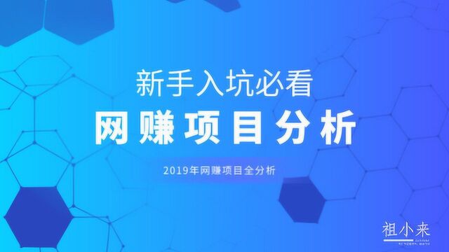 祖小来:2019年网赚项目分析,新手入坑必看