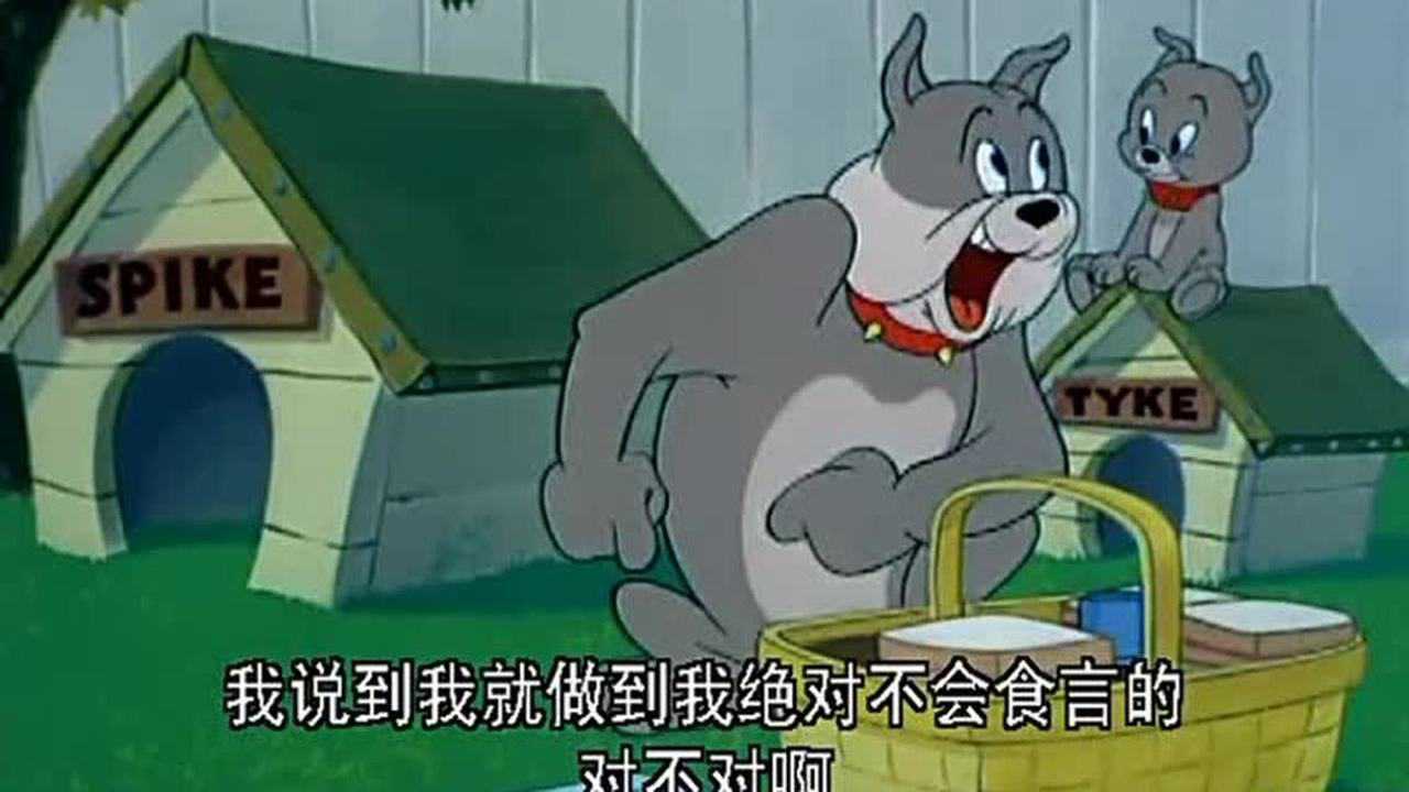 猫和老鼠吃什么野餐好一点(猫和老鼠吃什么野餐好一点呢)