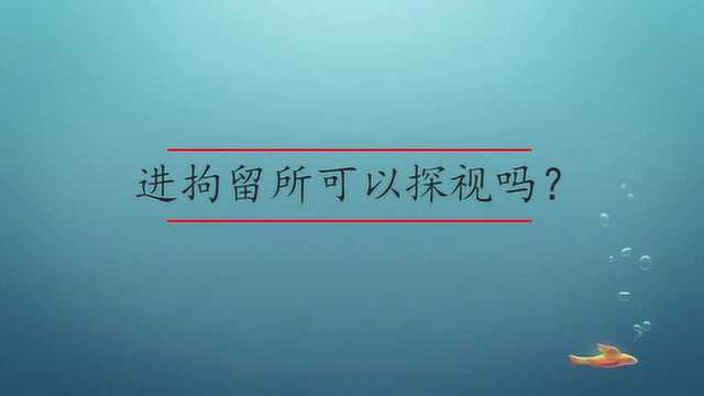 进拘留所可以探视吗?