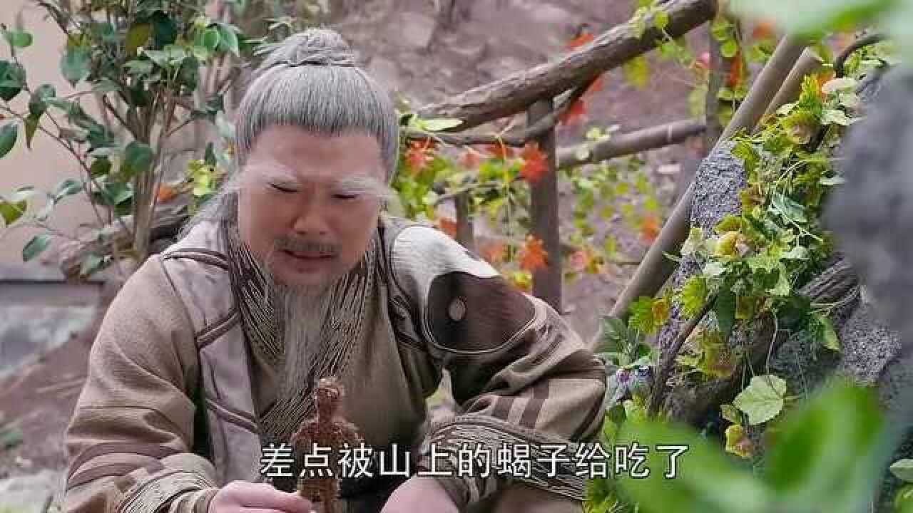 蜀山战纪百草仙人偷偷为夏草的死难过落泪却被丁隐和小张发现