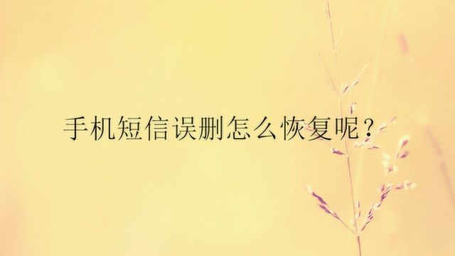 手机短信误删怎么恢复呢?