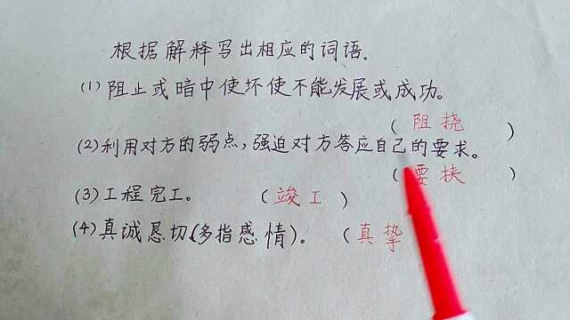 小升初语文根据解释写出相应的词语题型讲解