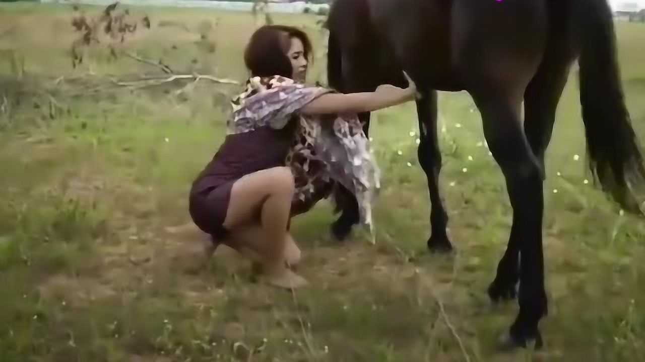 美女骑大马，就是马儿不听话，小姐姐霸气_高清