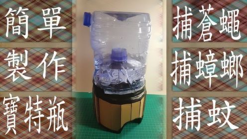 废物利用：手工达人教你用塑料瓶DIY捕虫器，简单实用又环保