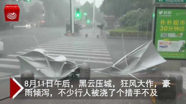 台风尾扫过 厦门全境骤雨狂风 暑热消褪