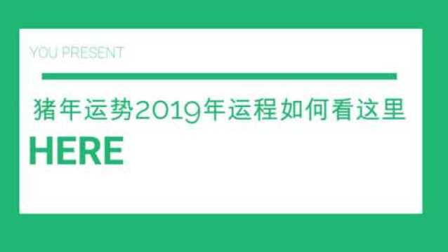 猪年运势2019年运程怎么样呢?