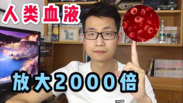 血液放大2000倍能看见数以亿计的红细胞!太壮观了