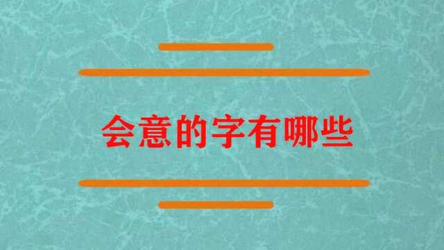 中国简单会意的字有哪些?