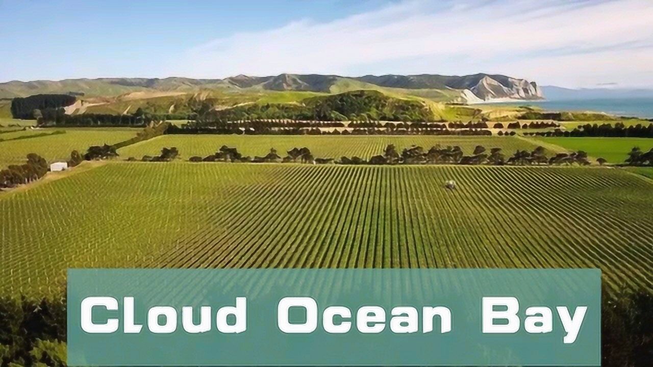 新西兰云海湾干白,干红系列