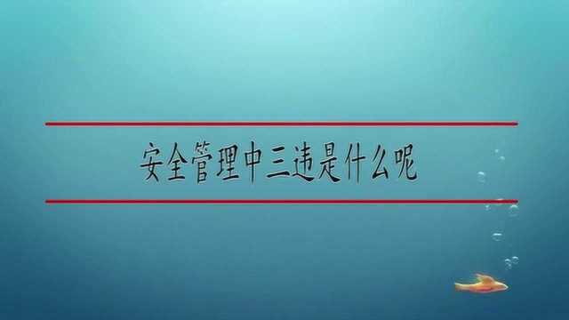 安全管理中三违是什么呢