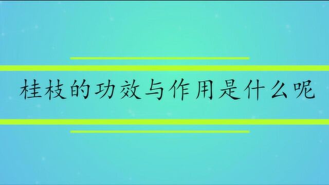 桂枝的功效与作用是什么呢