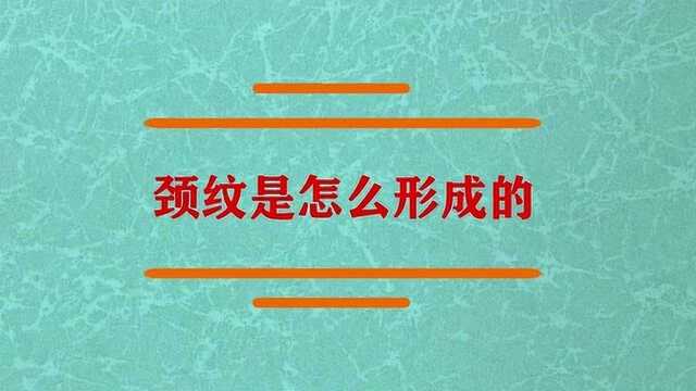 颈纹是怎么样子形成的呢?