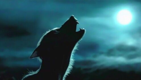 卢平教授竟是狼人血统，谁知正赶上圆月之夜，卢平教授变身狼人