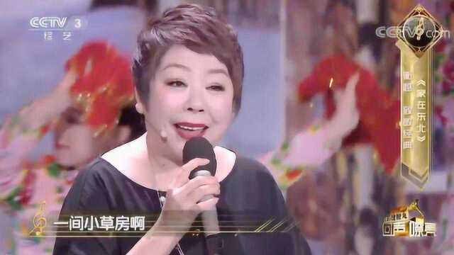 《家在东北》演唱:衡越